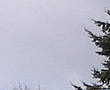 Thumbail de la foto